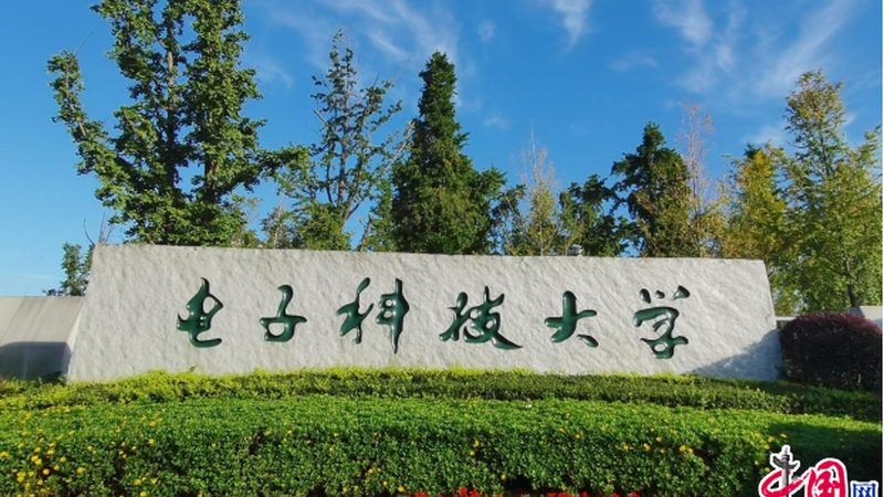 成都物联网电子模块：揭秘其报价背后的技术考量